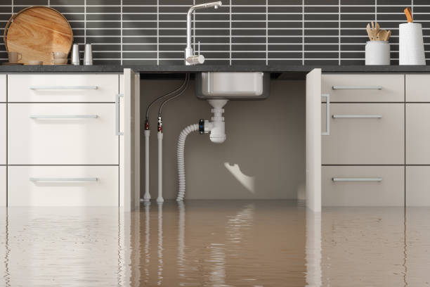 Best Flooded house restoration  in USA